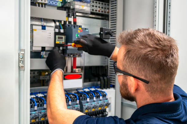Best Electric Panel Repair  in Mauldin, SC